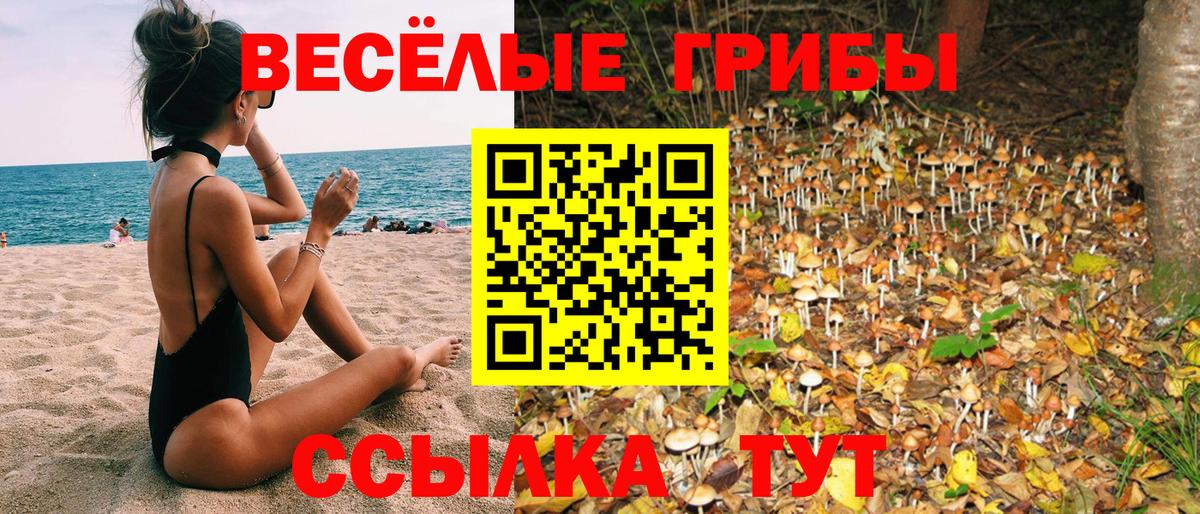 Миллерово  Галлюциногенные грибы Magic Shrooms  Псилоцибиновые грибы мицелий  Вход с VPN 